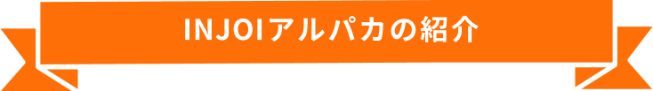 INJOIアルパカの紹介