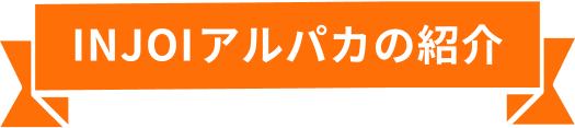 INJOIアルパカの紹介